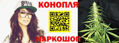 спиды Аша