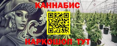 спиды Аша